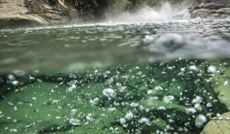 Bí ẩn dòng sông chết trong rừng rậm Amazon ở Peru