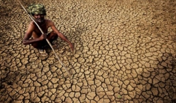 Malaysia: 1 người chết vì nắng nóng