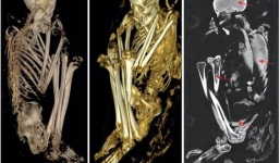Hé lộ bí mật về xác ướp duy nhất ở Châu Phi