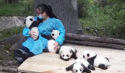 Top 3 công việc kỳ quặc kiếm bộn tiền