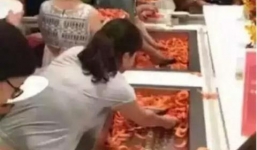 Du khách chen lấn xô đẩy dùng đĩa xúc tôm ăn buffet