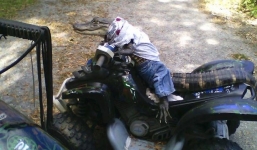 Cá sấu biết đi xe đạp điện có nguy cơ phải chia tay chủ