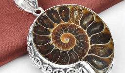 Đại gia Việt chi hơn 100 triệu mua ốc anh vũ 500 tuổi