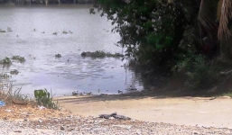 Phát hiện thi thể một phụ nữ nổi trên sông Vàm Cỏ Tây