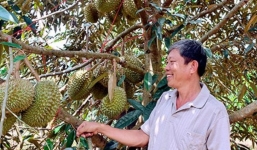 Bán nhẫn cưới lập nghiệp, sau 10 năm thành tỷ phú