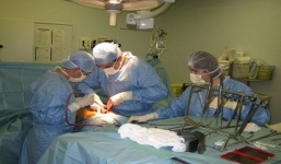 Mất một bên tinh hoàn vì dùng cưa điện để cưa tre