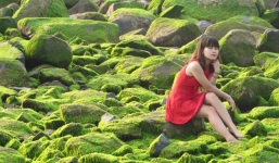 Bãi đá rêu xanh xứ sở 'Hoa vàng trên cỏ xanh' đốn tim dân mạng