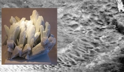 Giải mã hiện tượng 'đất nổi hình vảy rồng' hút hàng trăm người đến xem