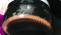 Nước mắm Hạnh Phúc lại bị phản ánh đóng cặn