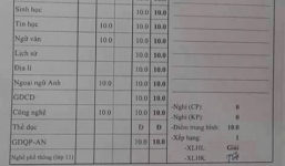 Bảng điểm toàn điểm 10 của học sinh TP.HCM  gây 'sốt'