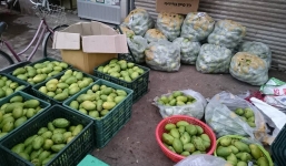 Tiểu thương thu hàng triệu đồng mỗi ngày từ xoài keo Campuchia