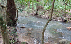 Đồng Nai: 3 học sinh lớp 7 chết đuối thương tâm