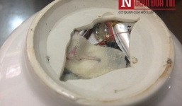 Hà Nội: Mang bát đi rửa, tá hỏa phát hiện bát rụng trôn, gắn chip điện tử