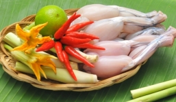 Những bài thuốc quý chữa bệnh từ thịt nhái