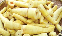 Đà Nẵng: nhuộm vàng măng tươi bằng chất cấm vàng ô