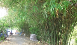 Kế toán trường học tử vong với nhiều vết đâm ở bụng