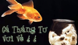  Nguồn gốc, ý nghĩa ngày Cá tháng Tư