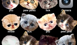 5 ứng dụng trên smartphone 'chơi khăm' bạn bè ngày Cá tháng Tư