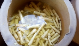 Phát hiện măng tươi có chất vàng ô gây ung thư ở Đà Nẵng