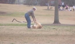 Clip: Chú chó lăn đùng giả chết để không bị lôi đi