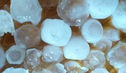 Mưa đá bất thường lớn nhất 30 năm qua ở Tuyên Quang