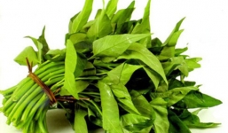 Cách nhận biết các loại rau bẩn, nhiều hóa chất