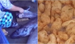 Hãi hùng chả cá được làm từ cá ươn, thối, 'siêu bẩn'