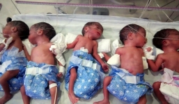 Hy hữu ca sinh năm trong vòng nửa tiếng