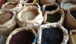 Kết luận vụ dùng lõi pin nhuộm đen hạt mè ở Phú Yên