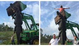 Bắt được cá sấu khổng lồ nặng 360kg, dài gần 5 mét