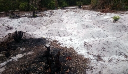 Hàng trăm ngôi mộ bất ngờ mọc lên giữa rừng ở Đà Nẵng