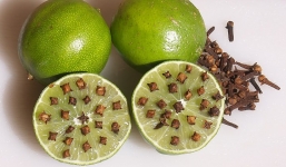 Mẹo đuổi muỗi đơn giản, an toàn mà hiệu quả tránh lây lan virus Zika