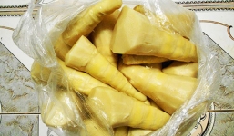 Phát hiện hai cơ sở măng tươi dùng chất cấm