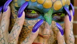 Phẫu thuật cắt tai, mũi để giống loài rồng trong thần thoại