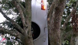 'Xế hộp' Audi A6 gặp nạn, treo ngược giữa cây nhãn