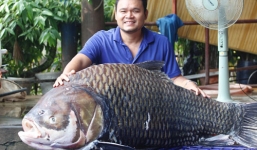Cá hô khổng lồ nặng 120kg 'bơi' từ Biển Hồ về Sài Gòn