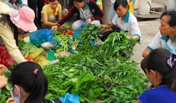 Thực phẩm bẩn bán tràn lan chợ đầu mối