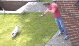 Video: Cụ ông 60 dùng súng cao su trêu chó