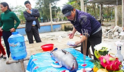 Xác cá voi nặng 80kg dạt vào bờ biển Cửa Lò