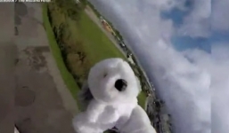 Video: Tìm kiếm chó bông được đưa lên trời mất tích từ rìa vũ trụ