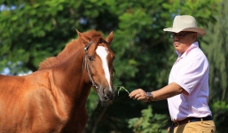 Thú chơi xa xỉ khó ai sánh bằng của đại gia Hoàng Khải