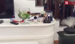 Video: Về quê ăn cưới, bị nhân viên mở két sắt 'cuỗm' gần 100 triệu đồng?