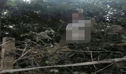 Bắc Giang: Nam sinh lớp 9 treo cổ tự tử trên cây gần chùa