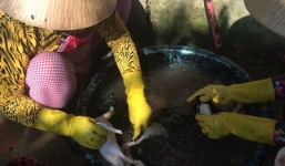 Hãi hùng phát hiện lông gà, vịt được nhổ bằng hóa chất