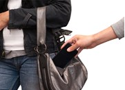 Kẻ trộm chim nhà Giám đốc Sở tiếp tục gây án