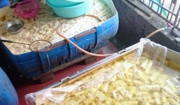  Phát hiện 5 tấn măng tươi có dòi ở Nghệ An