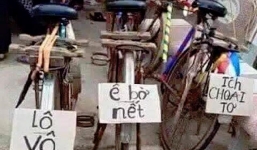 Ảnh vui giao thông Việt Nam tuần qua