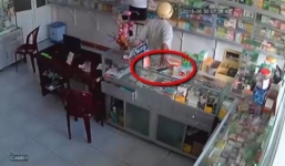 Video: Những màn đóng kịch trộm điện thoại khó lường ở Việt Nam