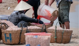 Phẩm màu nhuộm ruốc ở Phú Yên có thể gây ưng thư