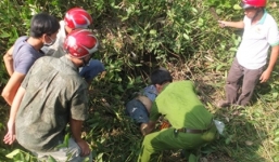 Phát hiện thi thể người đàn ông trong bụi rậm ven quốc lộ